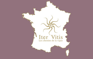 Les chemins de la vigne en France