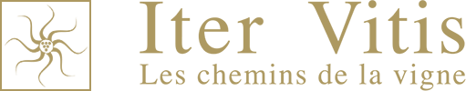 Iter Vitis