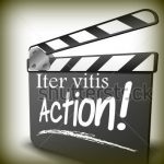 action-clap-001