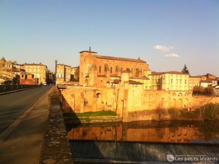 Gaillac Abbaye Saint-Michel  / © François Darnez Les petits lézards