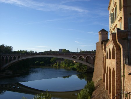 Gaillac Abbaye Saint-Michel  / © François Darnez Les petits lézards