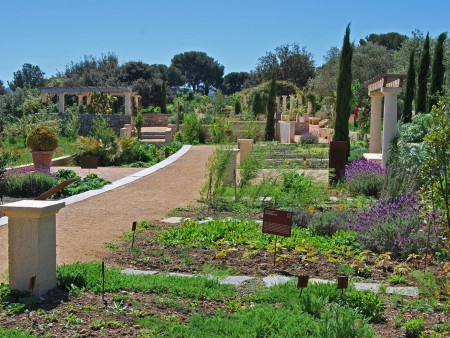 Jardin antique méditerranéen / © DR