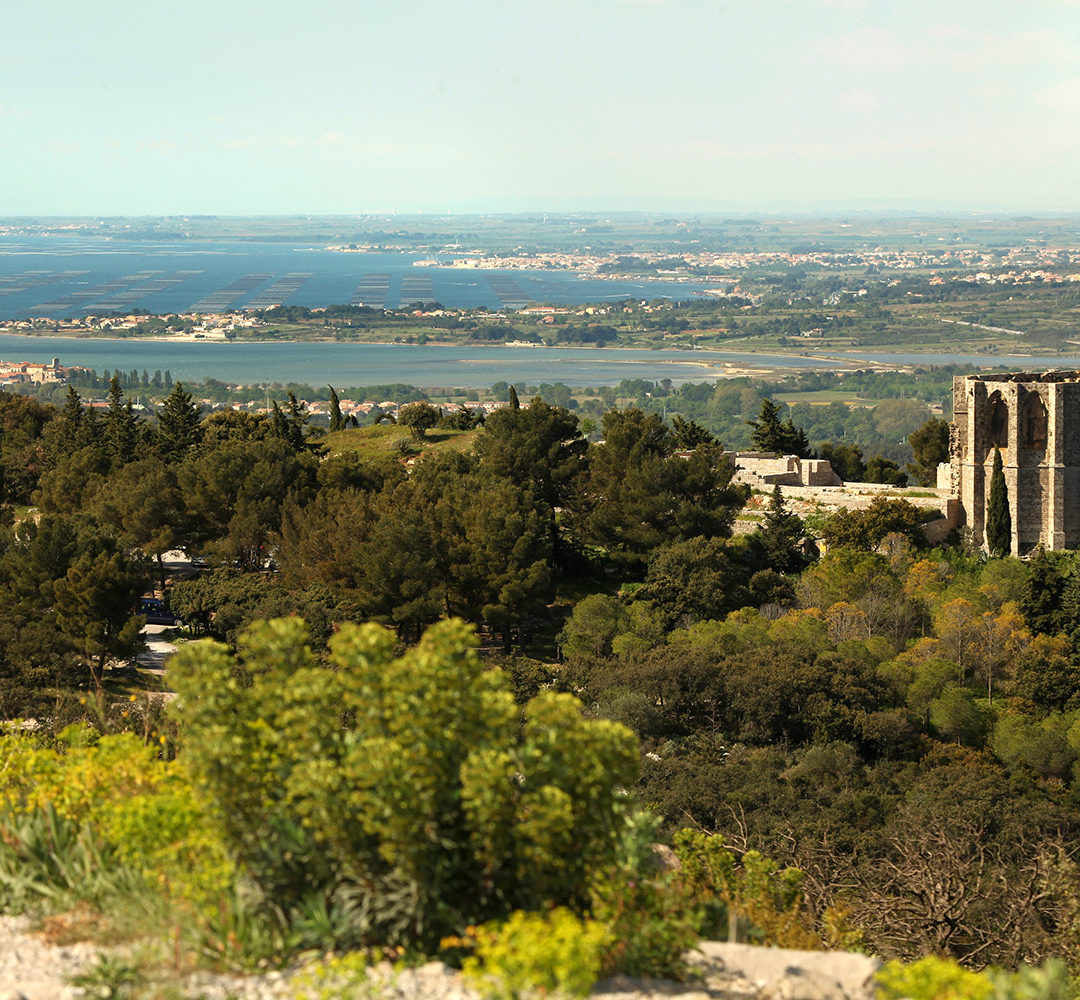 Garrigue, vue globale / © DR