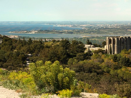 Garrigue, vue globale / © DR