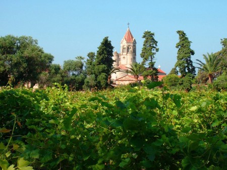 Abbaye depuis les Vignes / © DR