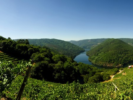 Fleuve Galice Ribeira Sacra