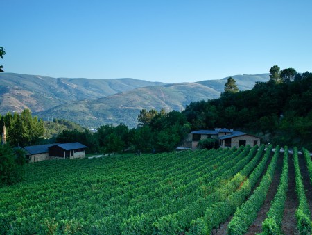 Paysage Galice Valdeorras