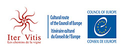 Iter Vitis France, partenaires Vitis For All / © DR