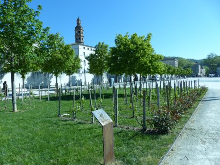 Cahors / © M Duranceau
