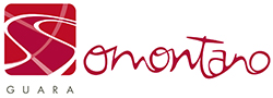 Somontano Guara, partenaires Vitis For All / © DR