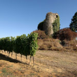 Iter Vitis Awards - Lauréat IVBD Bergerac / © DR