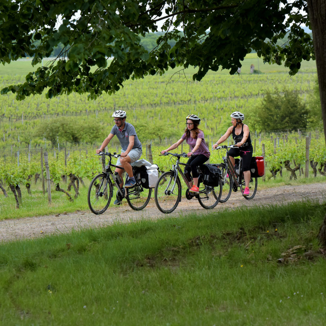 Vignoble de Fronton, le Canal des 2 mers à vélo / © Nathalie Lacomme - Maison des vins Fronton