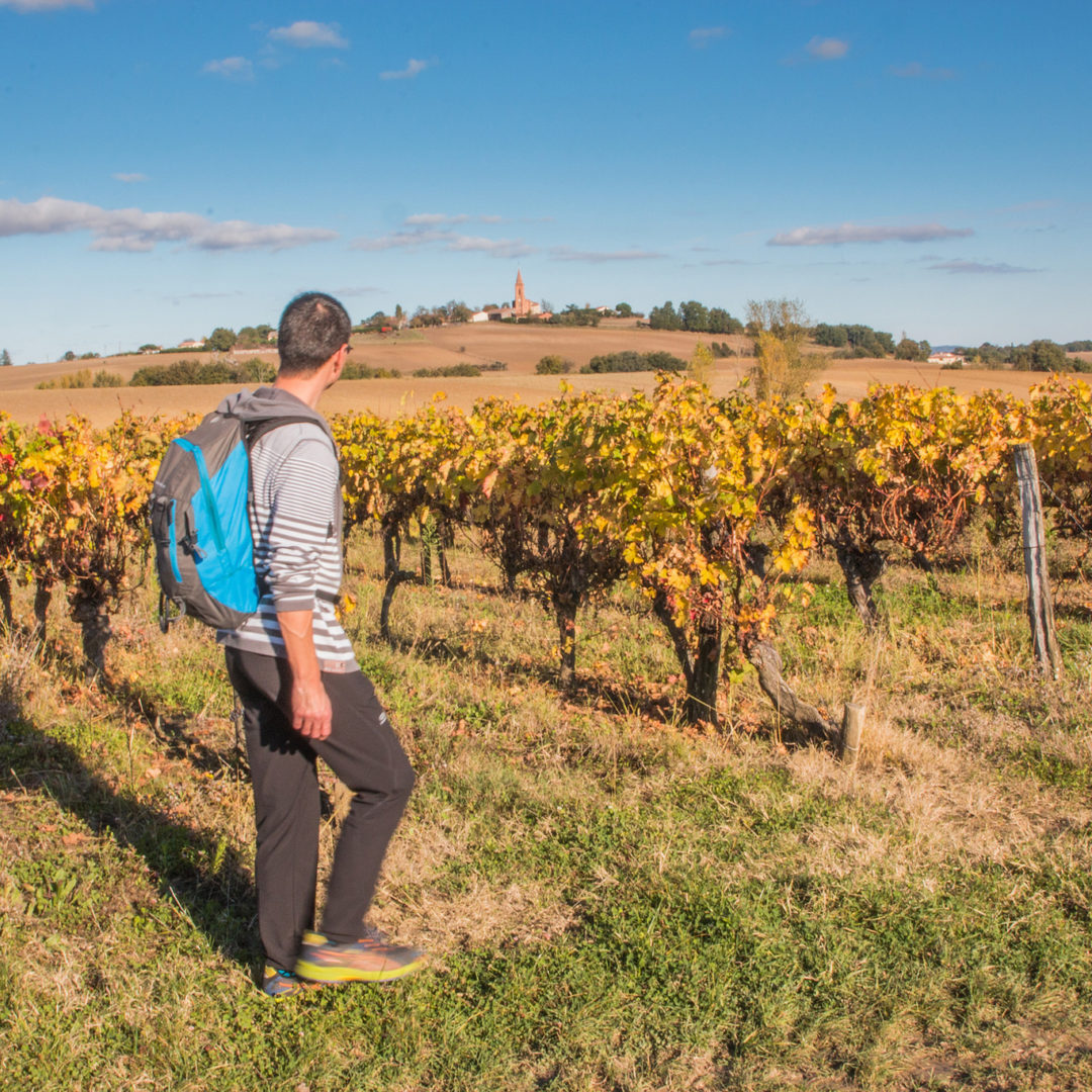 Vignoble de Fronton, rando / © Nathalie Lacomme - Maison des vins Fronton