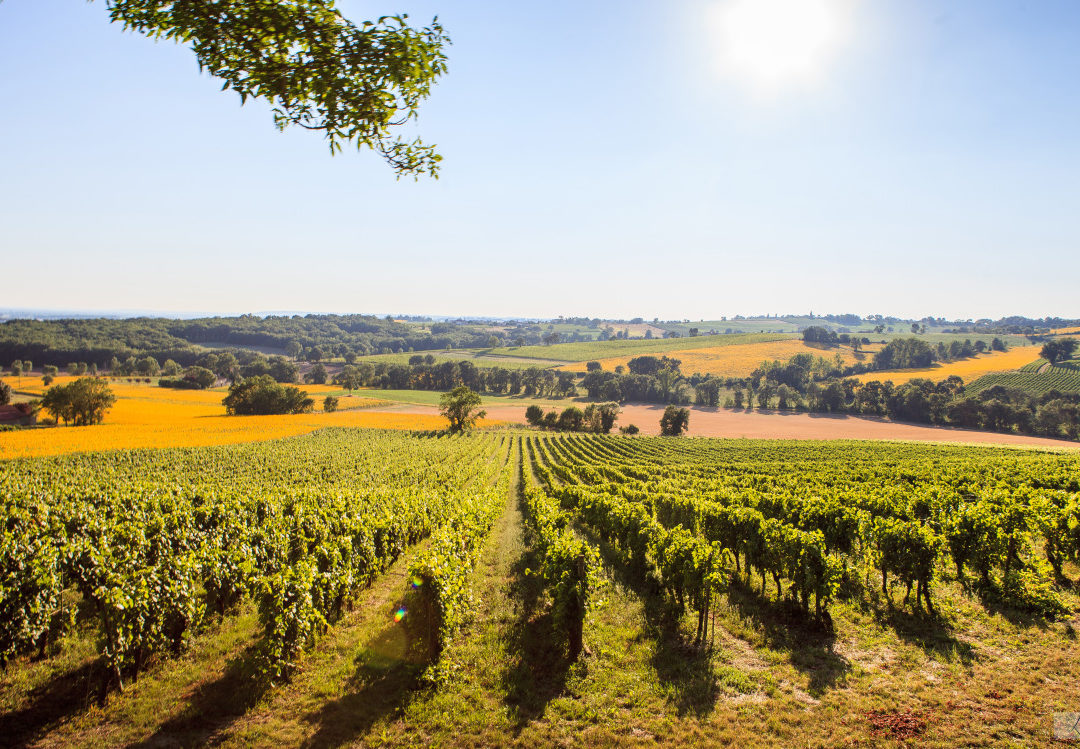 Sainte Coirx - ©Laurie Escrouzailles
