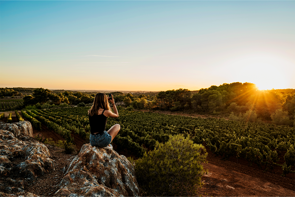 Iter vitis association vignoble destinations france