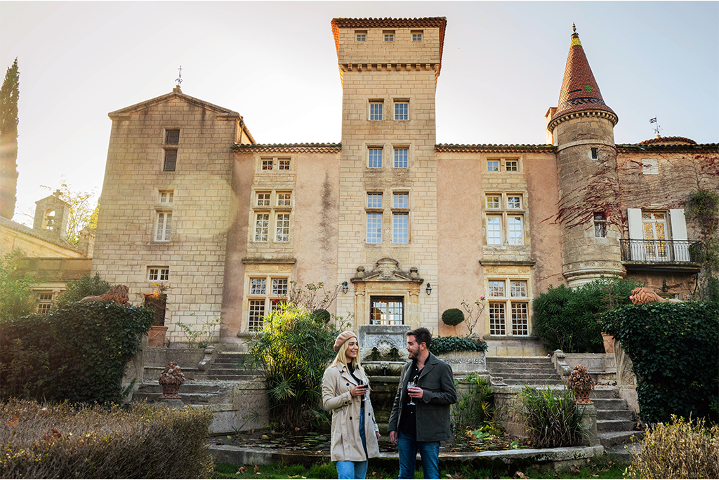 thau vignoble découverte