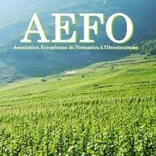 AEFO VIN