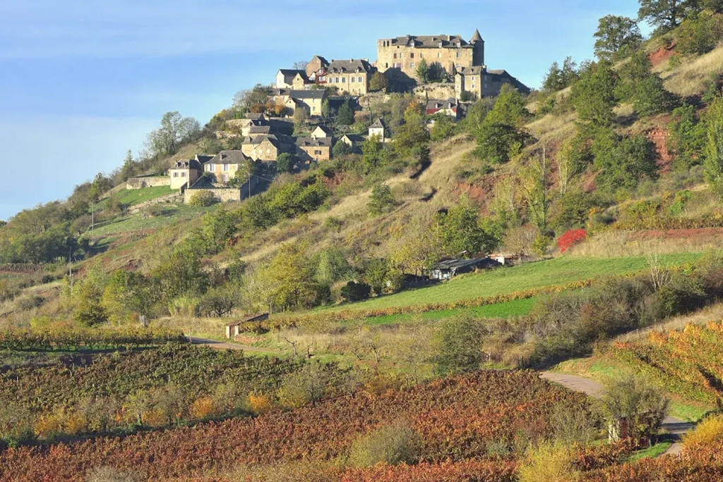 CONQUES AOP VIGNOBLE