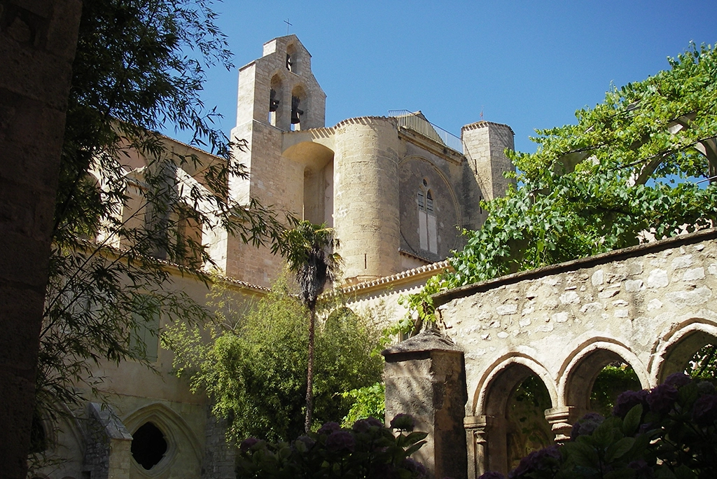 HERAULT ITER VITIS