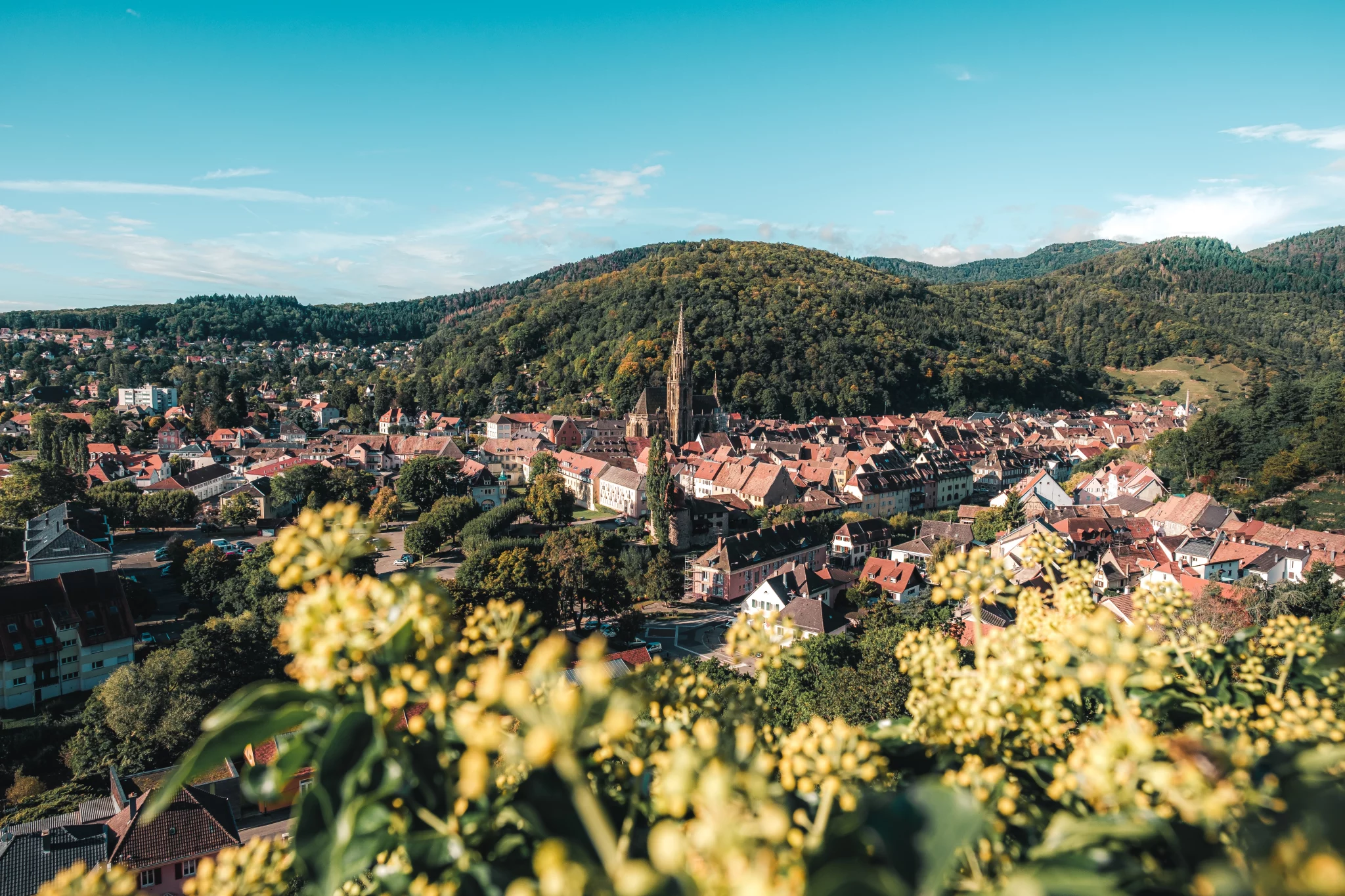 alsace-vignoble