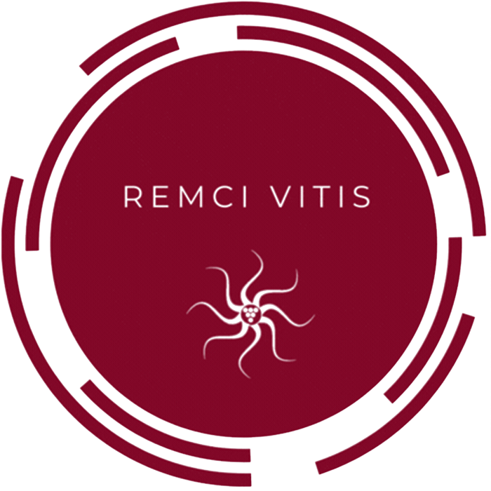 REMCI LOGO